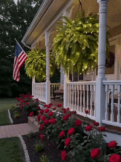 🎁Hot Sale 49% OFF🔥Oversized Pre-Lit Artificial Boston Ferns - No watering, No fading